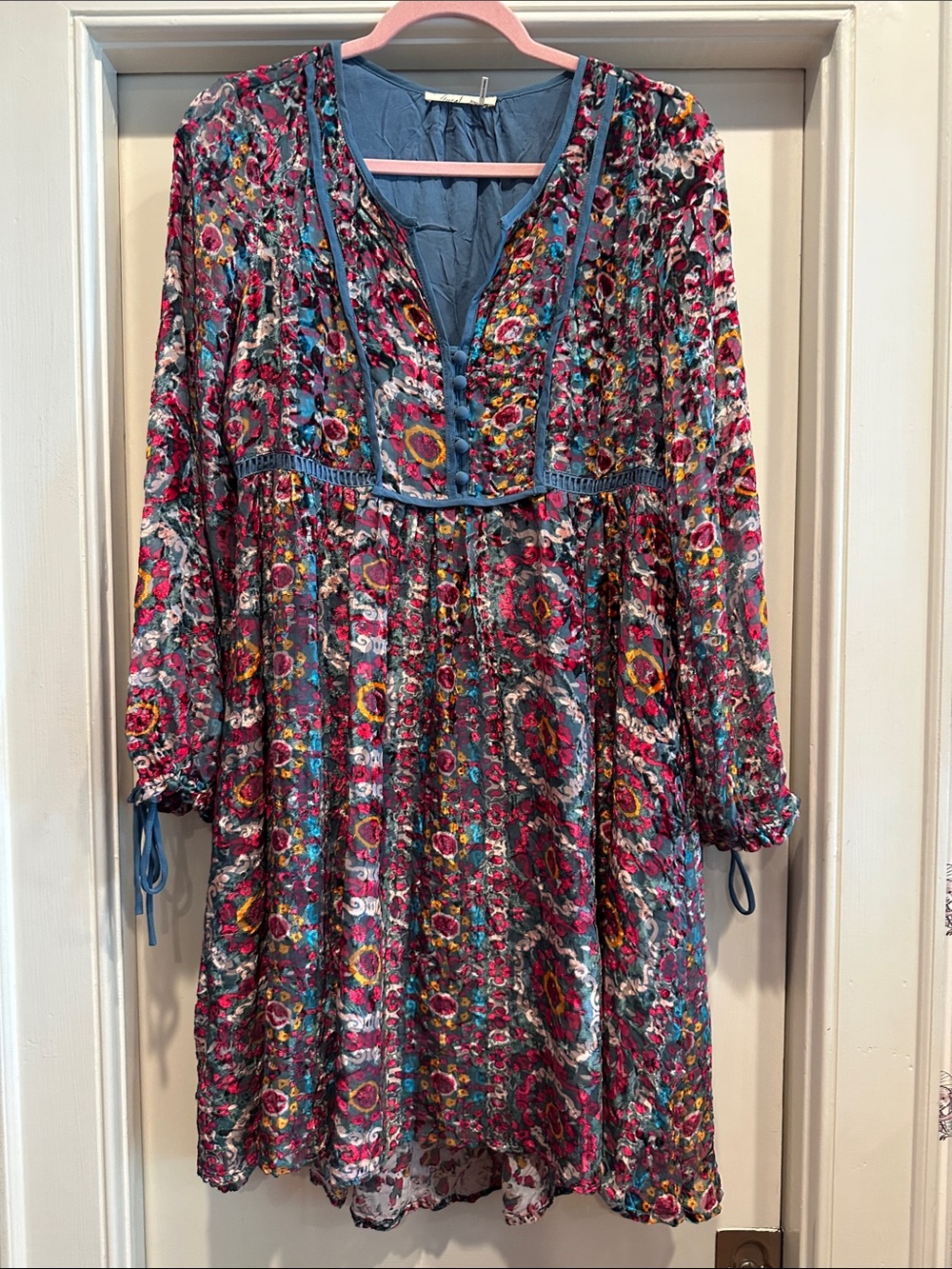 Anthropologie Velvet Floral Dress - Pink Multi